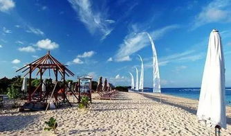 創(chuàng)道旅游團隊招募旅游代理 探索事業(yè)新機遇